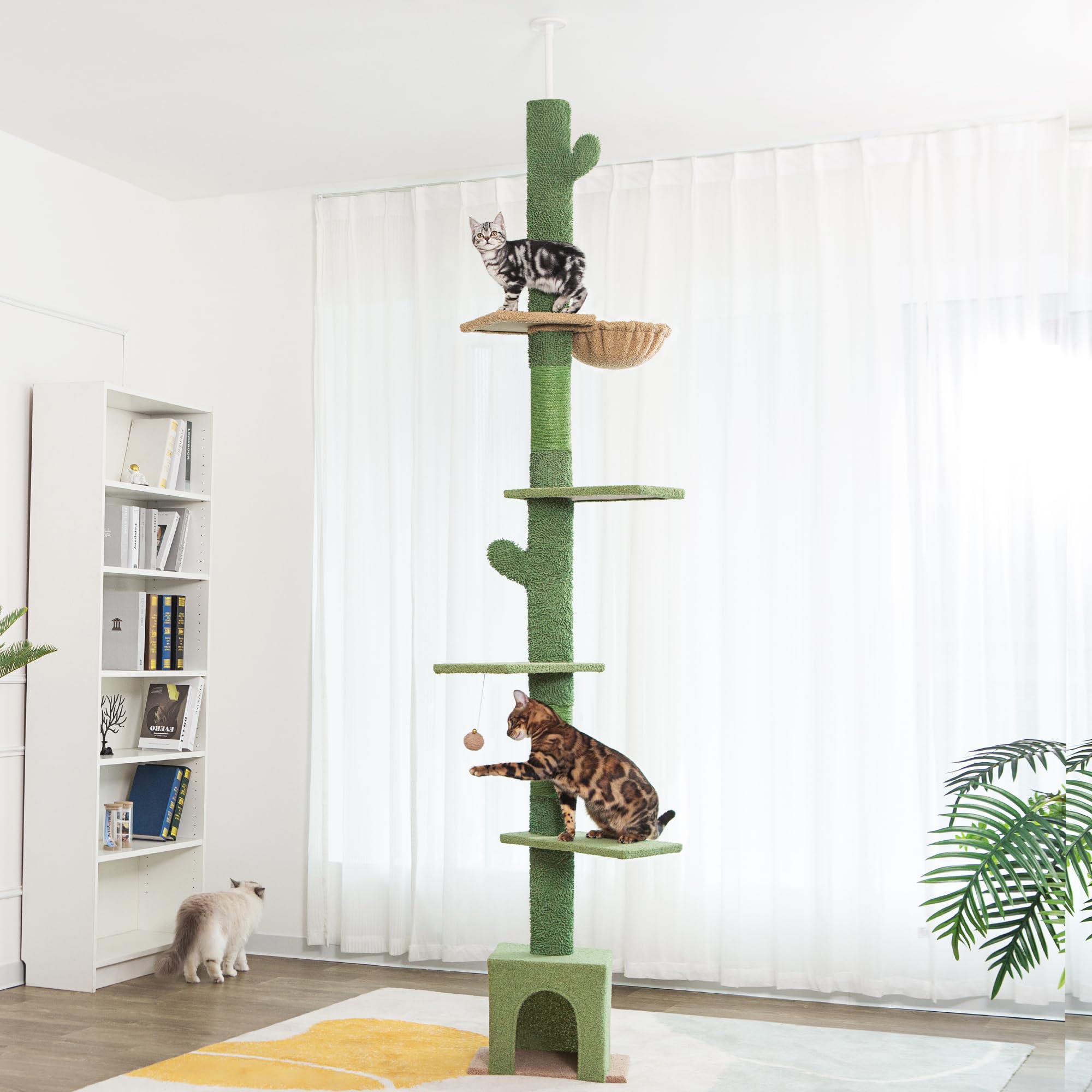 cat towers canada