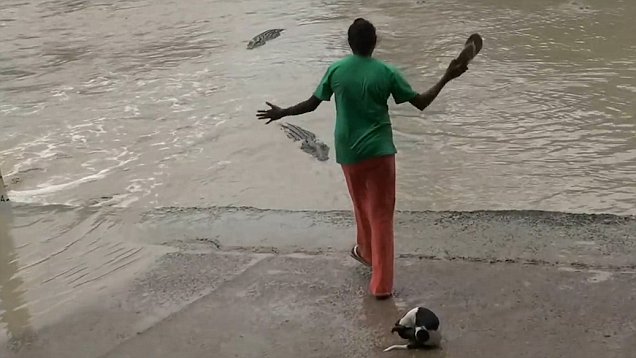 ginger meadows croc attack