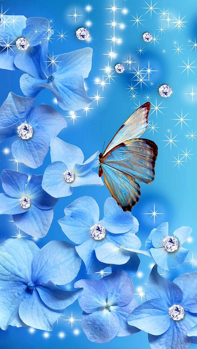 beautiful blue butterfly wallpaper