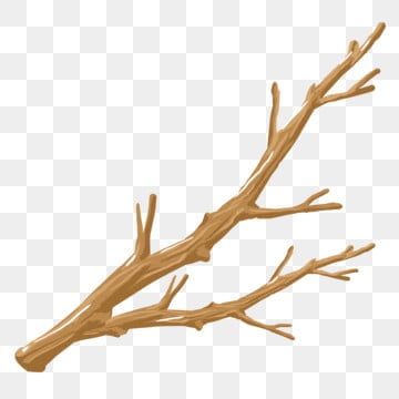 branch clipart