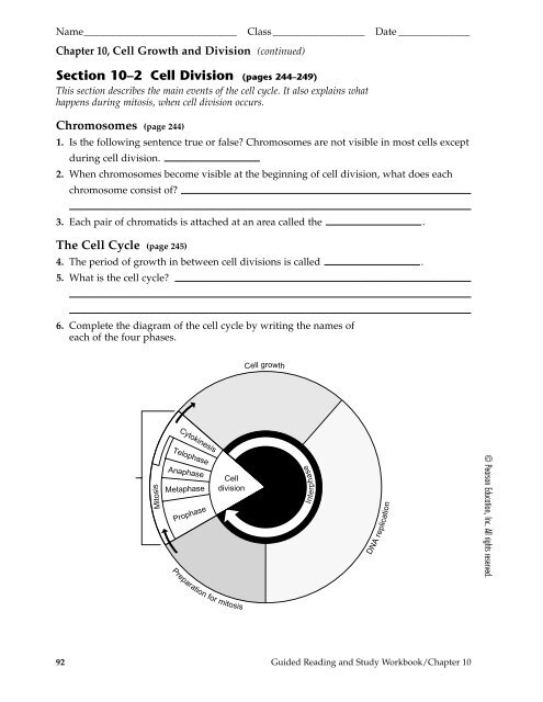 chapter 10 cell growth and division answer key pdf