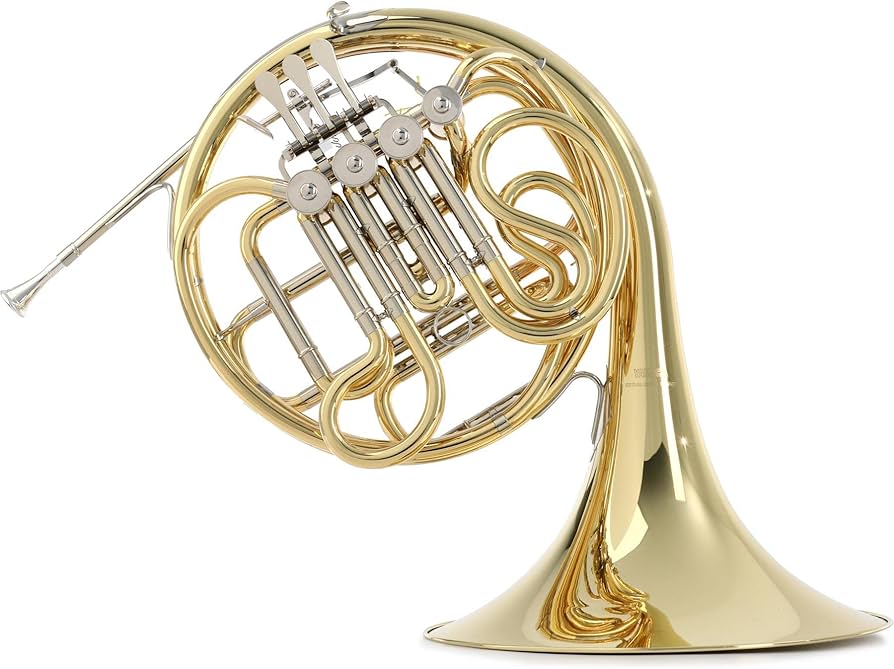 french horn amazon