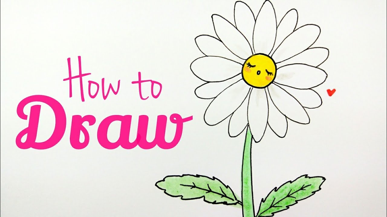 how to draw daisy flower