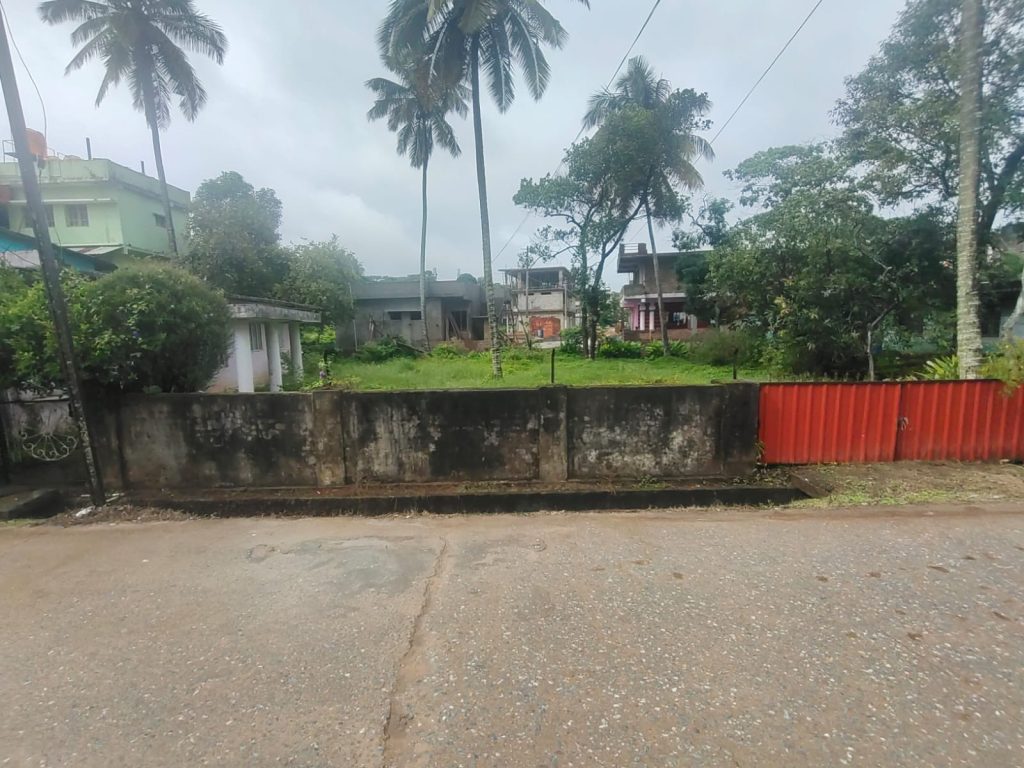 land for sale in sakleshpur