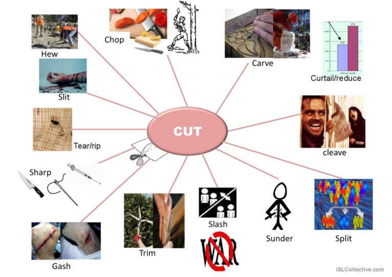 synonyms for cut