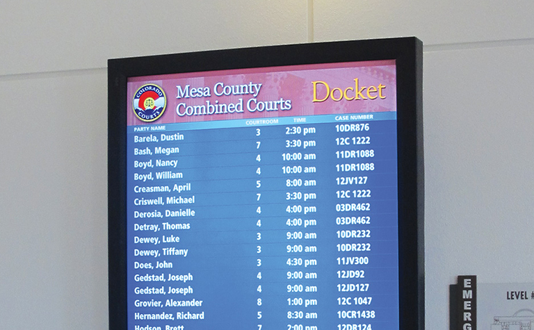 mesa county court case lookup