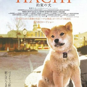 hachi the dog full movie