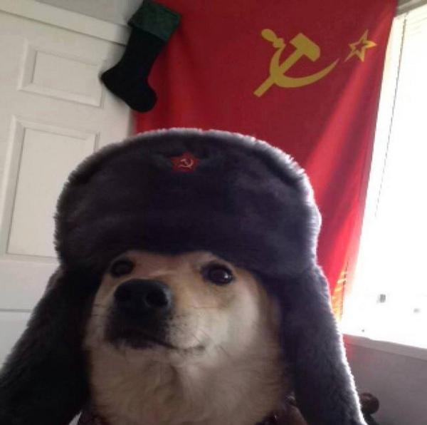 russian soviet doggo