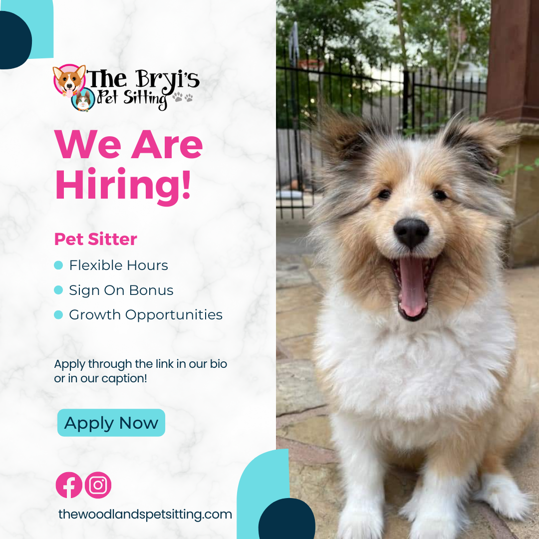 dog sitting jobs near me