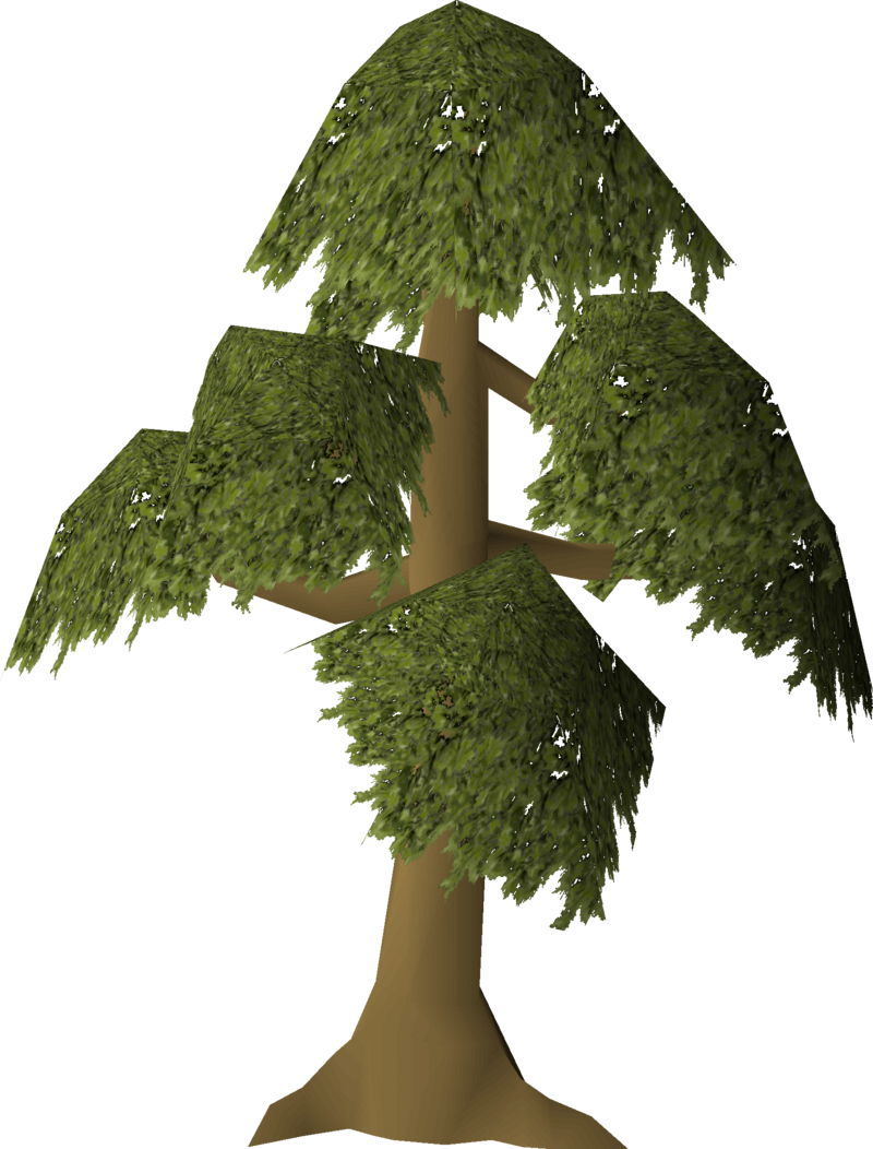 yew sapling osrs