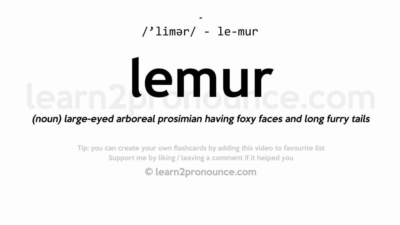 lemur pronunciation