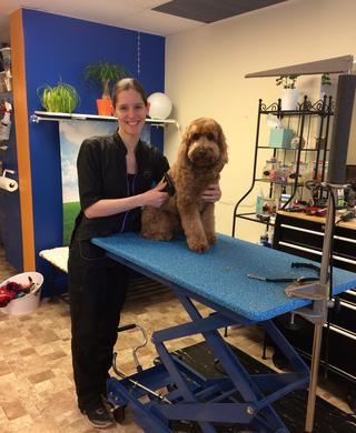 royal pet grooming minneapolis