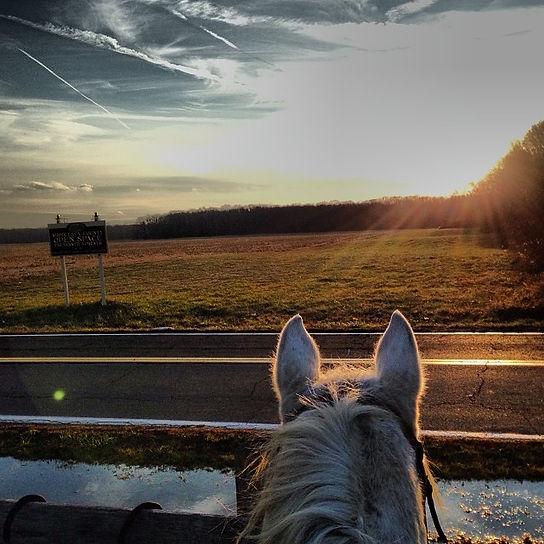 voight farms nj