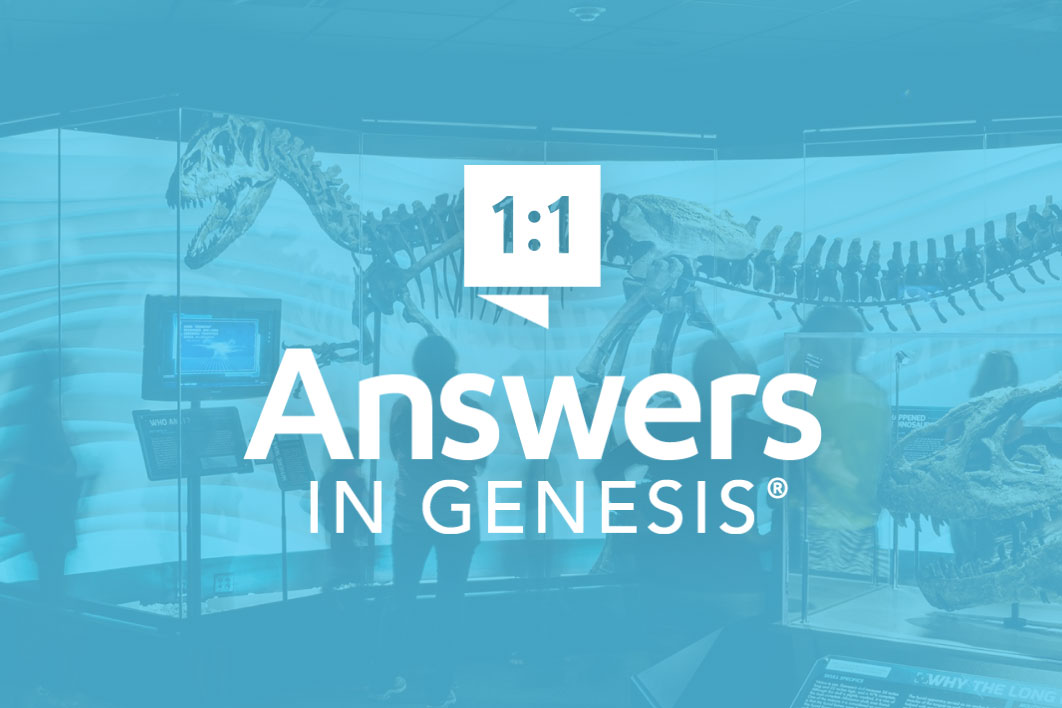 answers in genesis