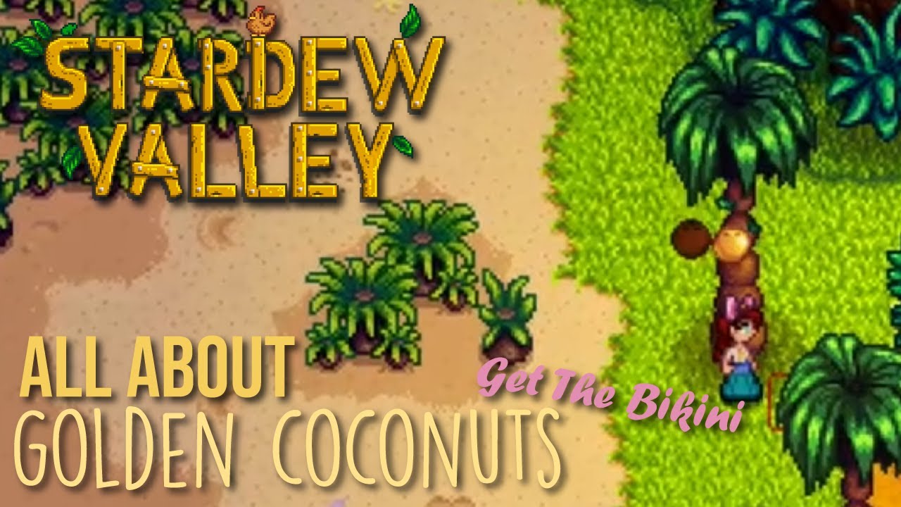 coconut stardew