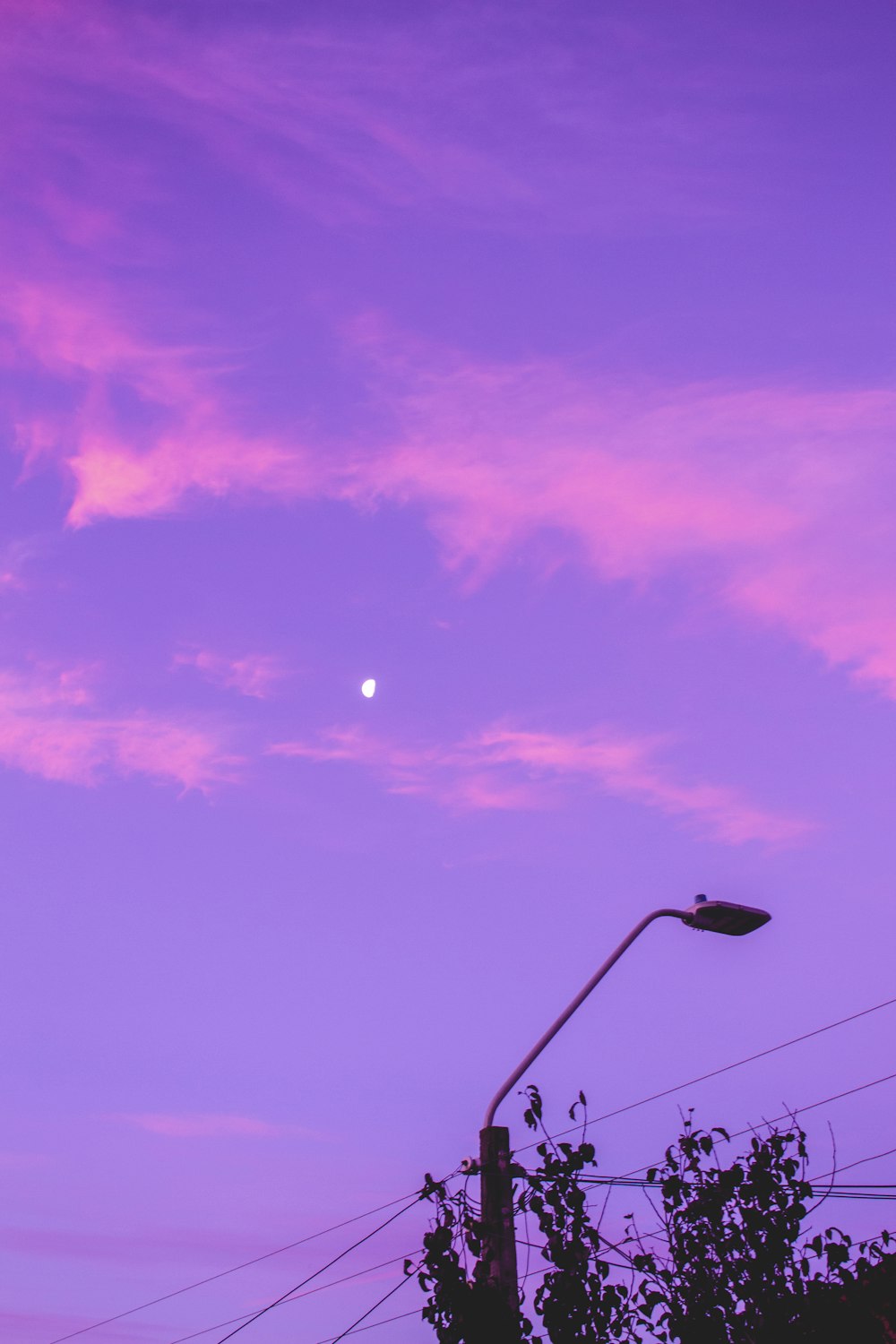 purple aesthetic