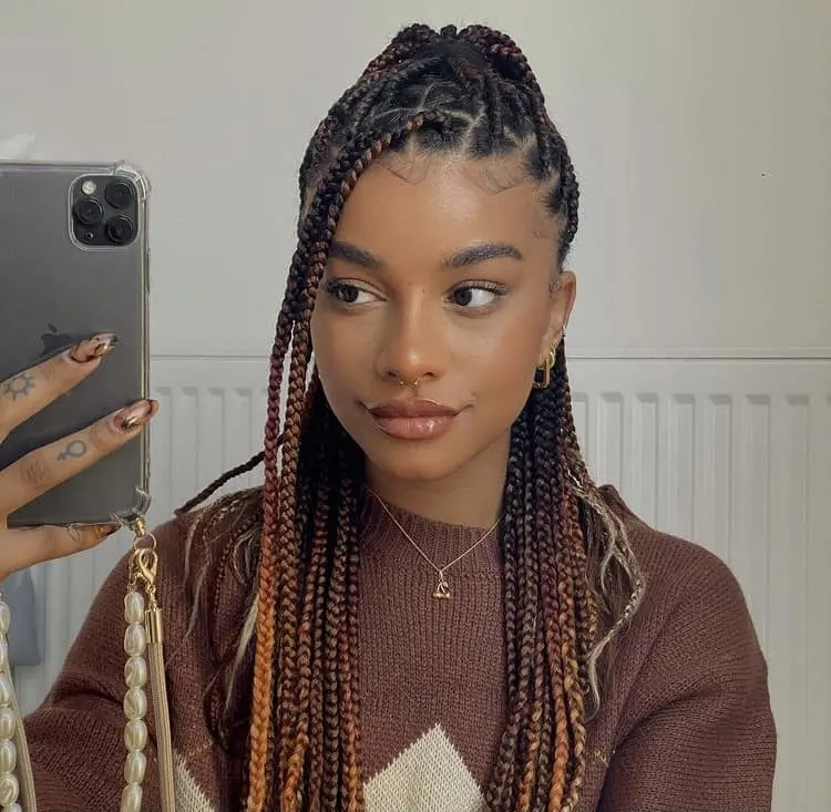 box braids black and brown