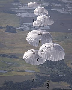 parachute synonym