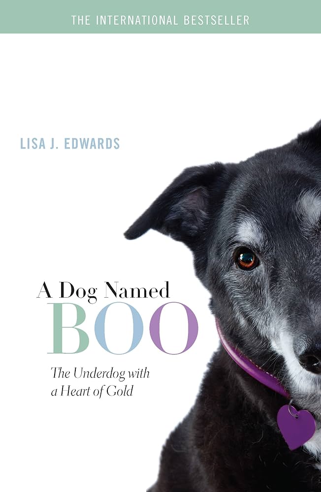 a dog named boo