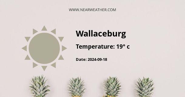 wallaceburg weather hourly