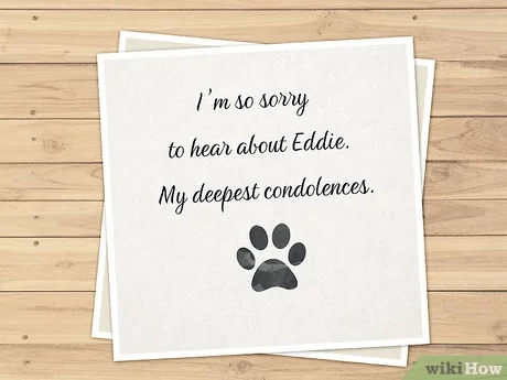 sympathy quotes for loss of dog