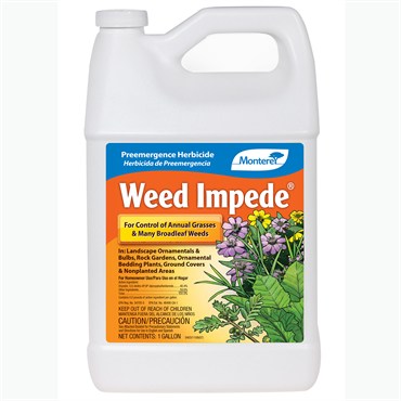 monterey weed impede