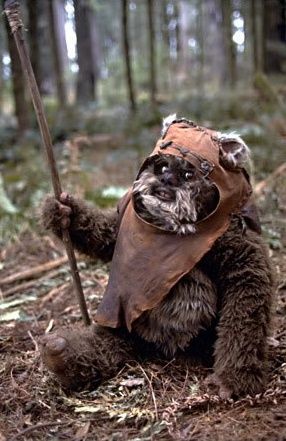 ewok photos