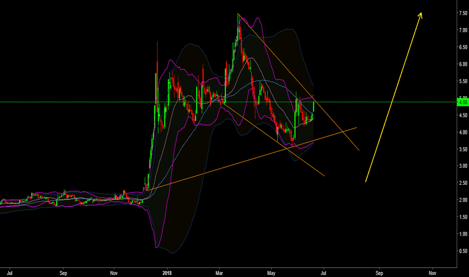 gerel tradingview