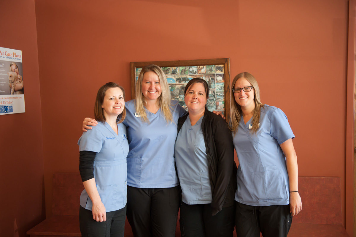 veterinary wallaceburg