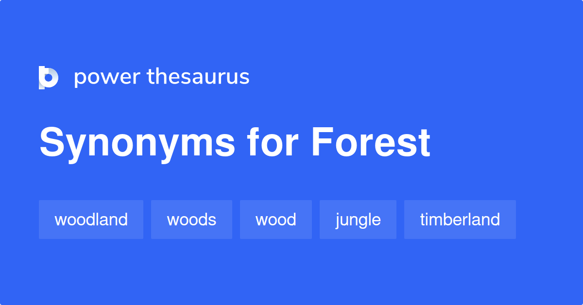 synonym for forest