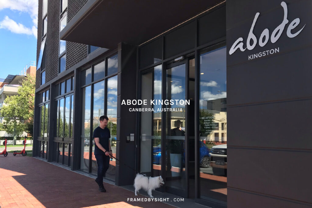 abode kingston pet friendly