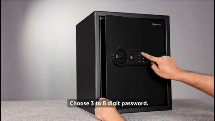 amazonbasics locker