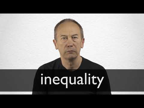 inequality thesaurus