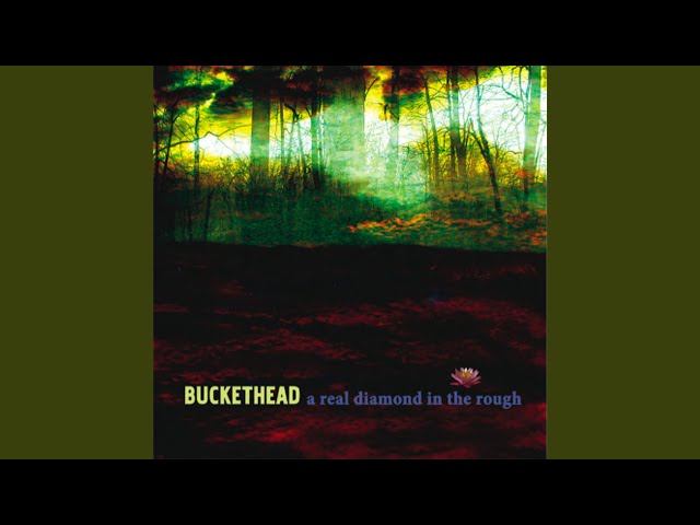 buckethead big ds touch