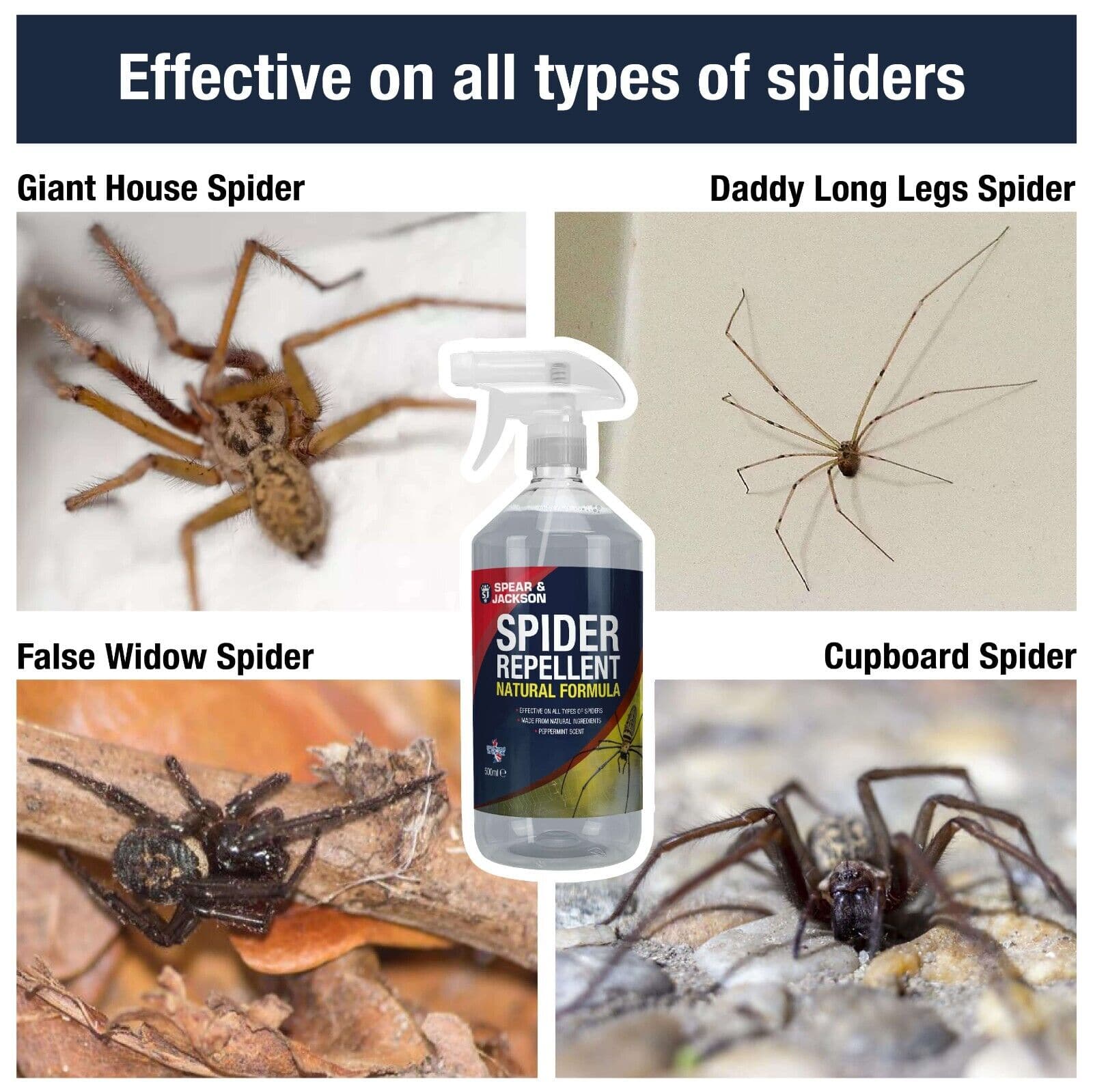 zero in spider repellent