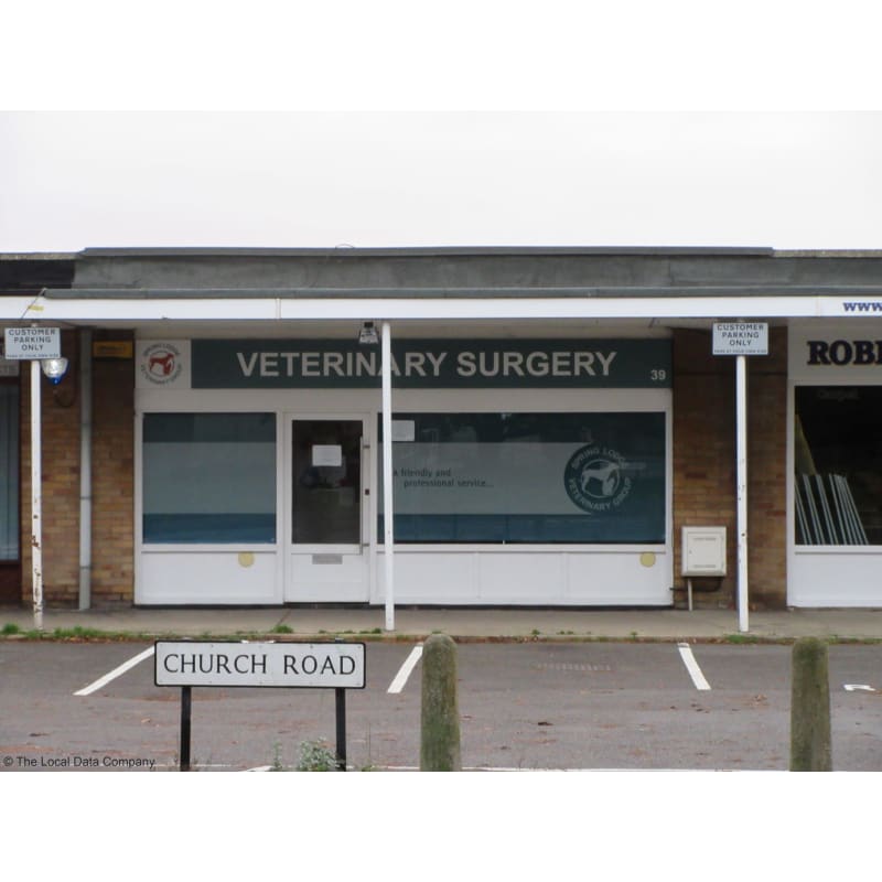 spring lodge veterinary group