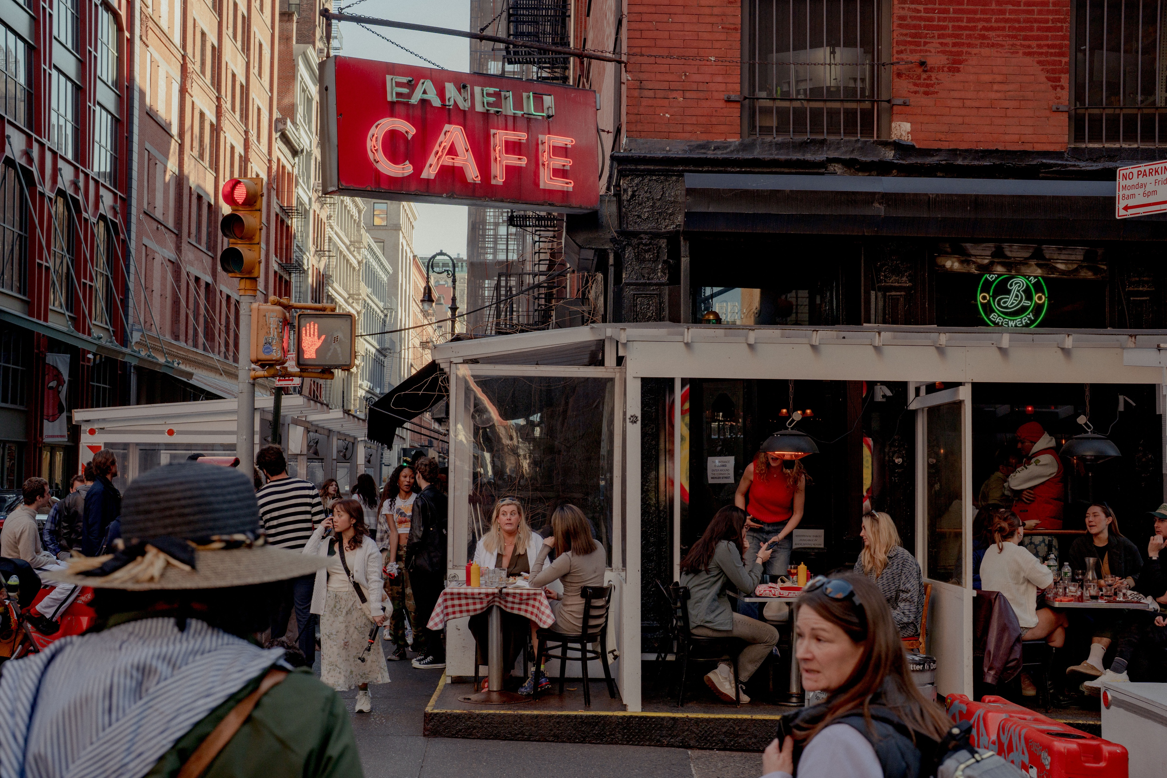 fanelli cafe new york