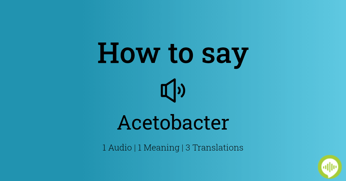 acetobacter pronunciation