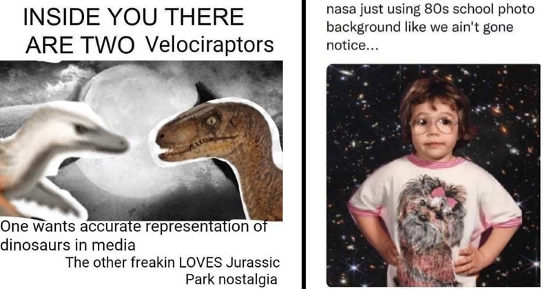 meme velociraptor