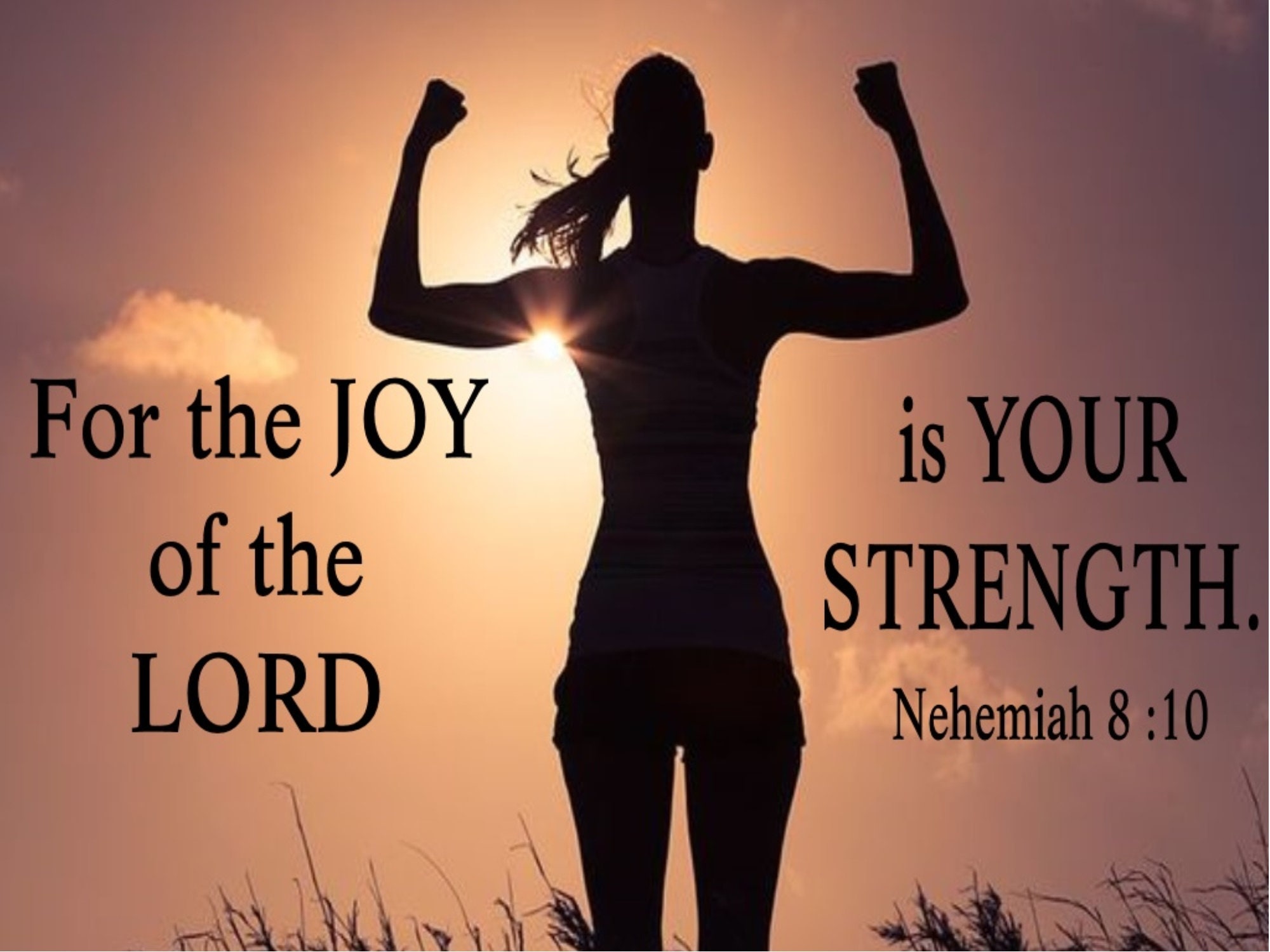 the joy of the lord is my strength kjv