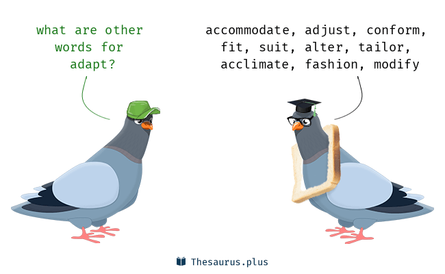 adapt thesaurus