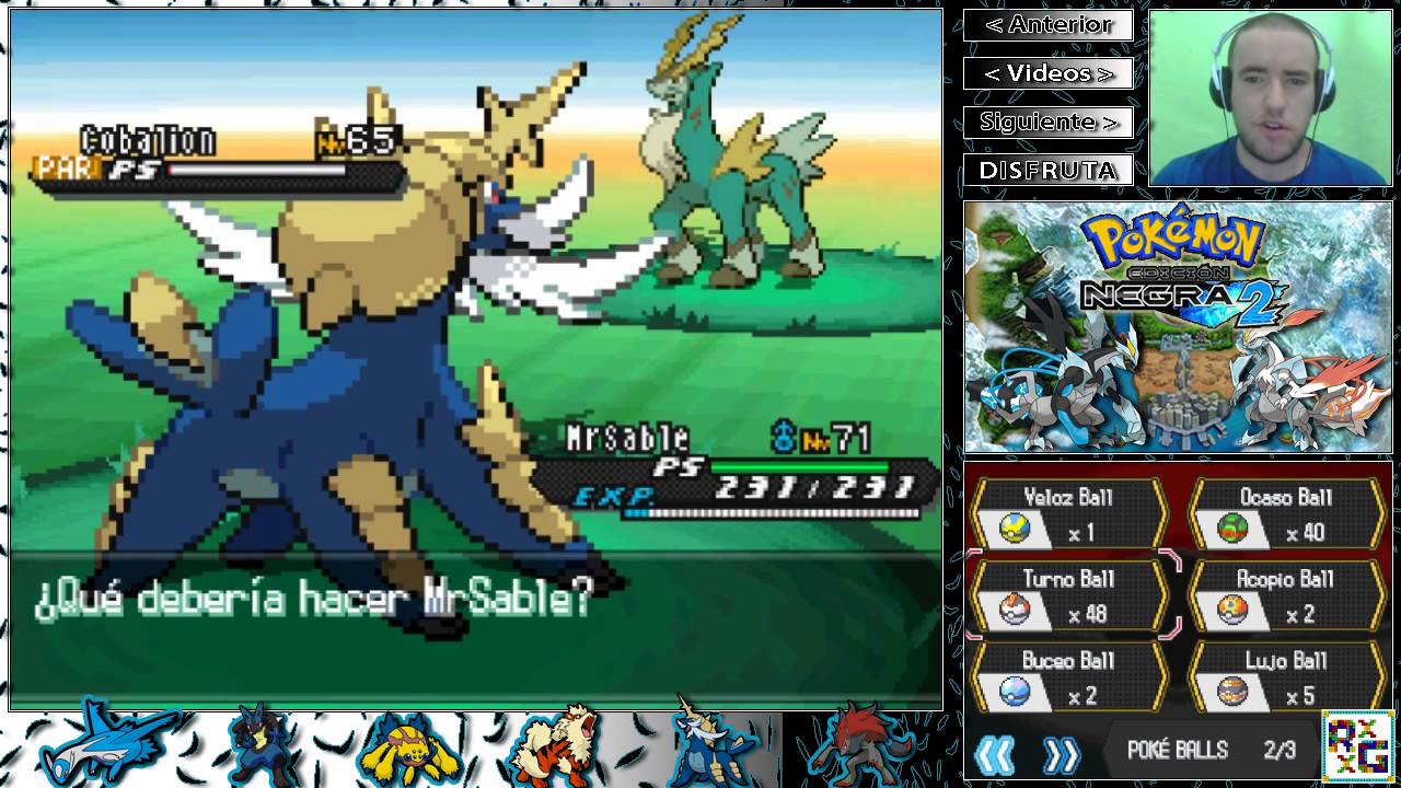 cobalion pokemon negro