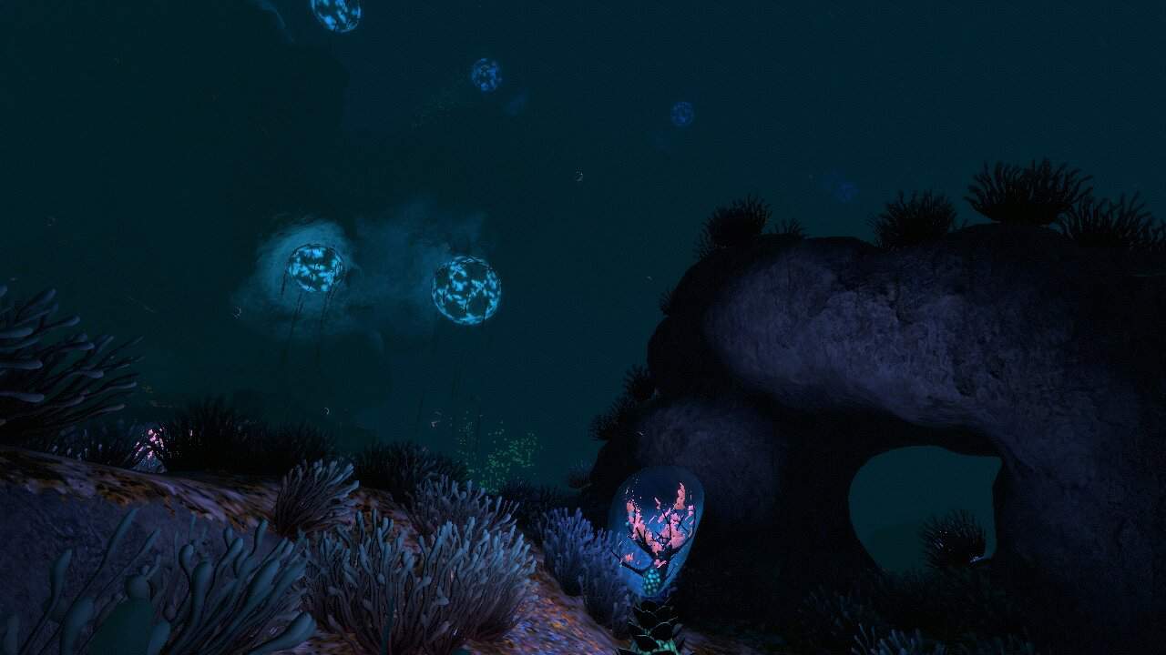 subnautica grand reef