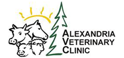 alexandria vet clinic mn