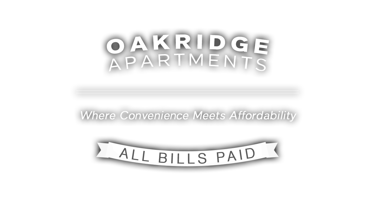 all bills paid second chance apartments