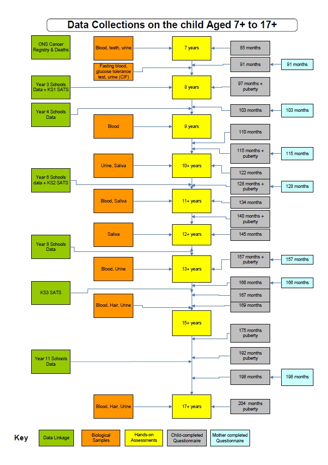 alspac data