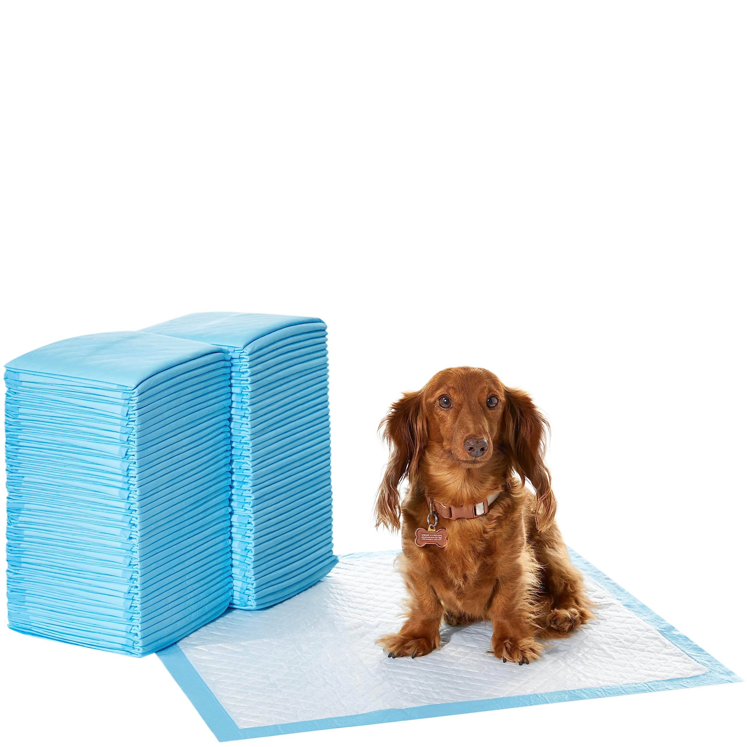 amazon puppy pads