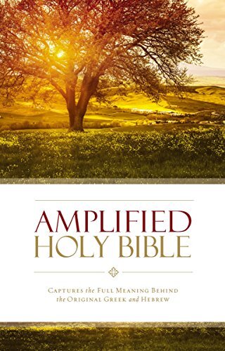 amp bible