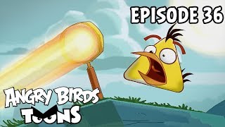 angry birds up