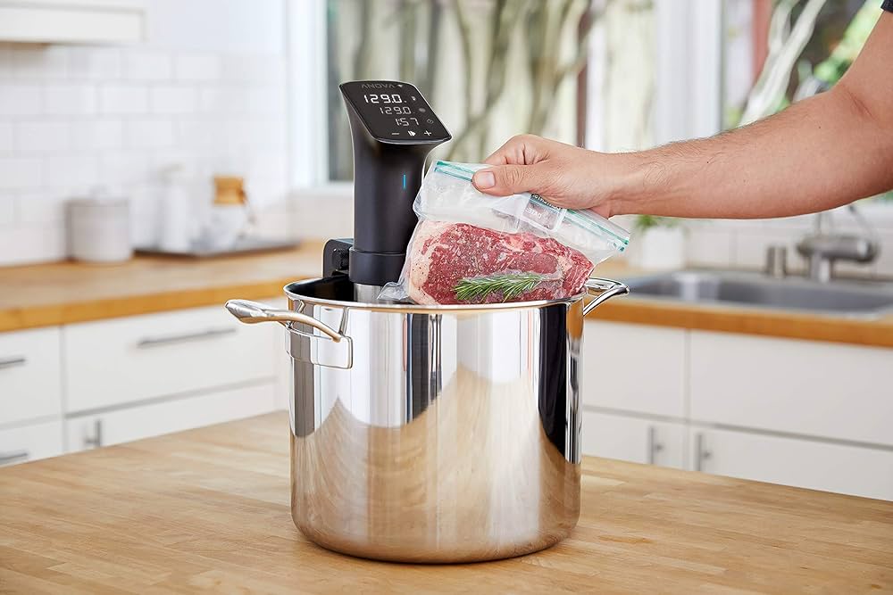 anova precision cooker